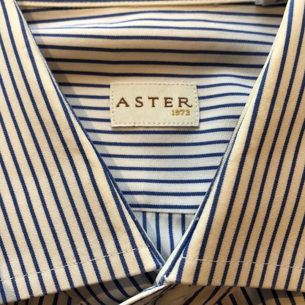 Men’s aster button down shirt